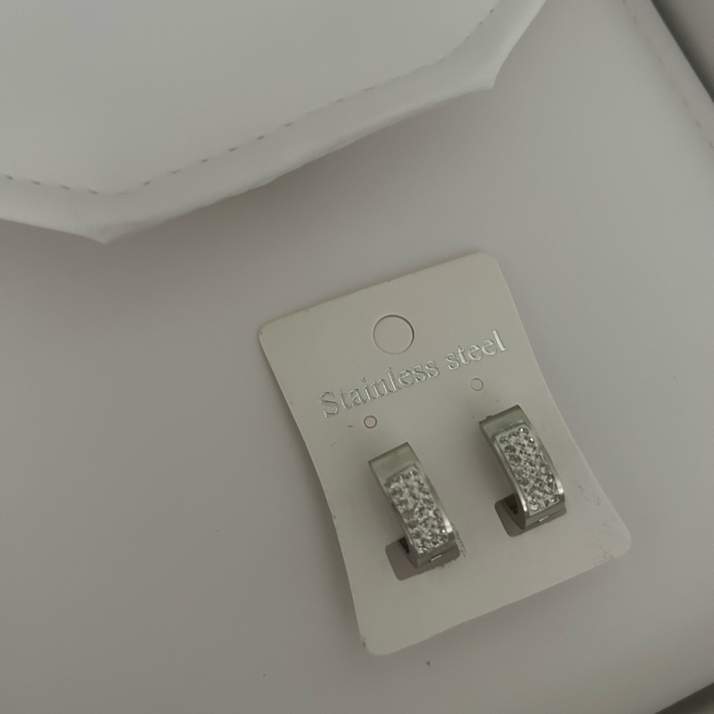 Stainless Steel Silver Earrings